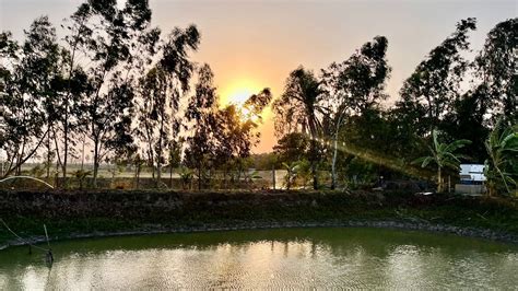 Exploring the Enchanting Sundarbans: A Treasure of West Bengal ...