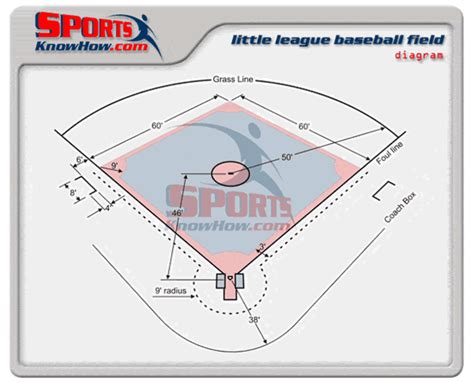 Field Dimensions