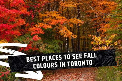 The 8 Best Places to View Fall Colours in Toronto [2023]