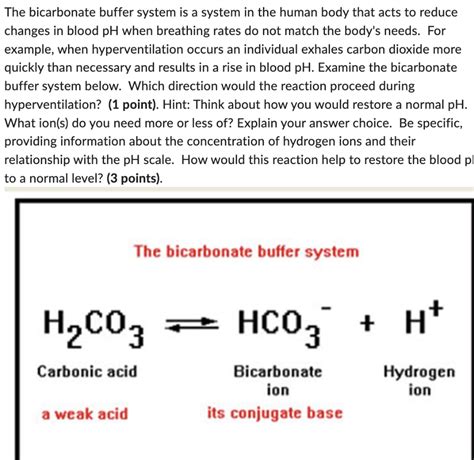 Solved The bicarbonate buffer system is a system in the | Chegg.com