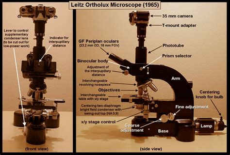 Light Microscopy and Photomicrography