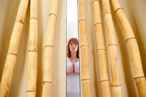 Craft accessories for your home using bamboo poles. | Bamboo trellis, Bamboo diy, Bamboo crafts
