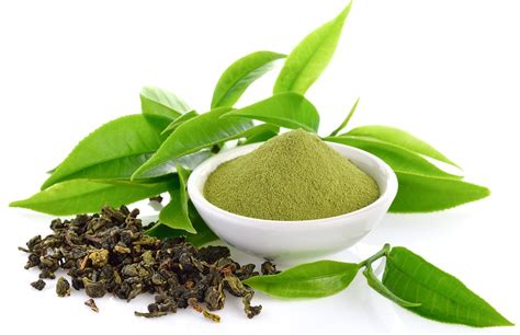 The 5 Best Green Teas For Weight Loss - [2021 Reviews] | Best Womens Workouts