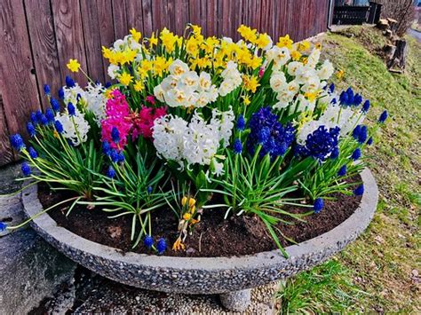 Planter with spring flowers in Kiefersfelden, Bavaria, Ger… | Flickr