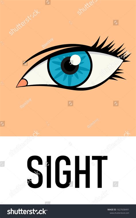 Sight Sense Icon Clipart Image Isolated Stok Vektör (Telifsiz) 1627658491 | Shutterstock