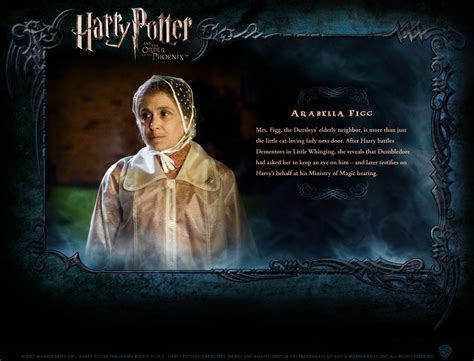 Character Profile - Harry Potter Photo (130073) - Fanpop