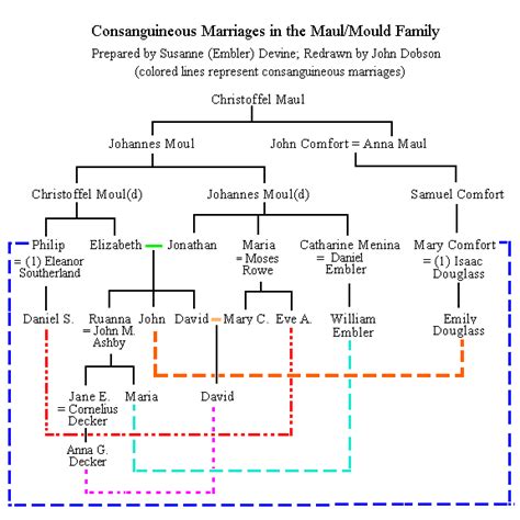 The descendants of Christoffel Maul, of Hanover Precinct (now Montgomery Tp.), Ulster (now ...