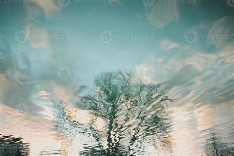 Tree and sunset sky reflection in water 20750666 Stock Photo at Vecteezy