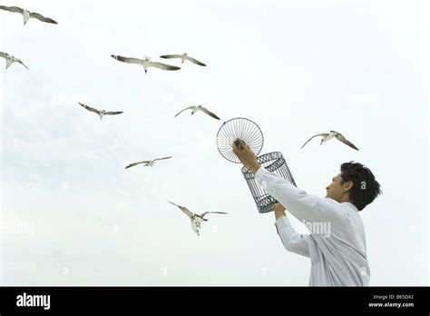 Man holding up bird cage, releasing bird, gulls souring overhead Stock ...