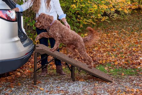 PET GEAR Free-Standing Extra Wide Carpeted Dog Car Ramp, Chocolate - Chewy.com