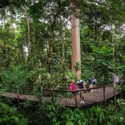 From Cairns: Kuranda Day Trip w/ Kuranda Skyrail Return | GetYourGuide