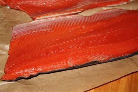 Dry Brine Recipe Cold Smoked Salmon | Besto Blog