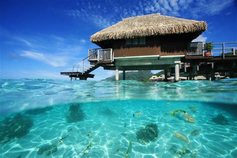 Hilton Moorea Lagoon Resort & Spa - Tahiti Experiences