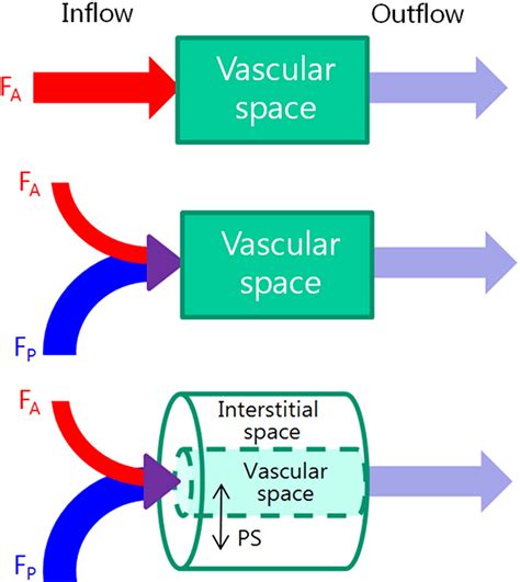 CT Perfusion of the Liver: Principles and Applications in Oncology | Radiology