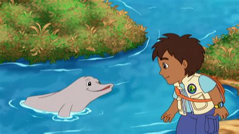 Watch Go, Diego, Go! Season 2 Episode 1: Diego Saves Baby River Dolphin ...