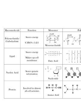 Macromolecules Chart Structures