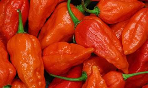 Ghost Pepper vs Carolina Reaper: What’s the Difference?