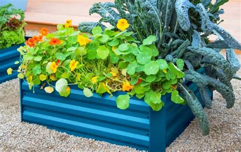 5 BEST METAL RAISED GARDEN BEDS – Bed Gardening