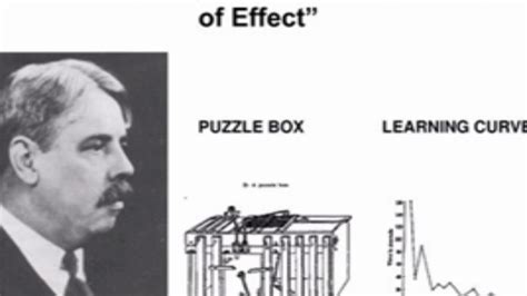 Thorndike Law Of Effect / Thorndike's Law of Effect - Trial and Error Learning - YouTube / The ...