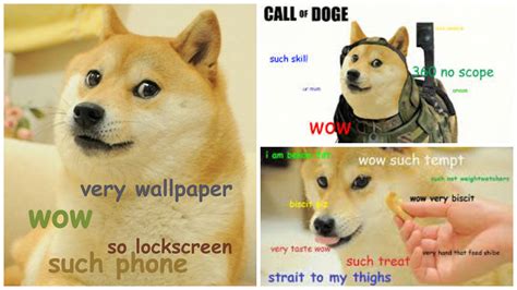 A Brief History Of The Doge Meme