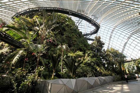 Step into a Domed Mountain Realm at Cloud Forest, Gardens by the Bay, Singapore | Will Fly for Food