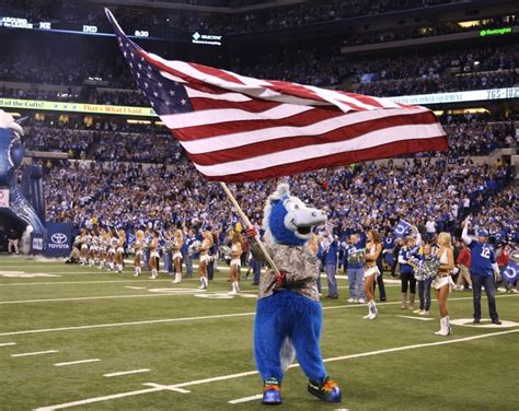 Colts' mascot Blue named mascot of the year