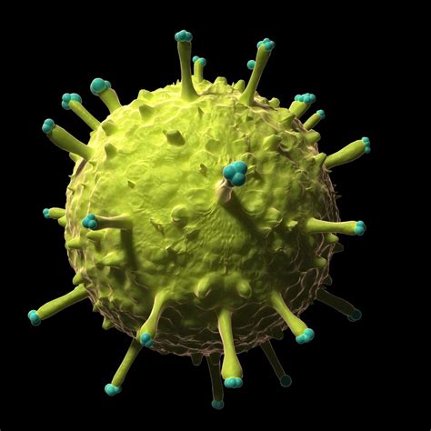 These 12 Viruses Look Beautiful Up Close But Would Kill You If They Could (PHOTOS) | HuffPost