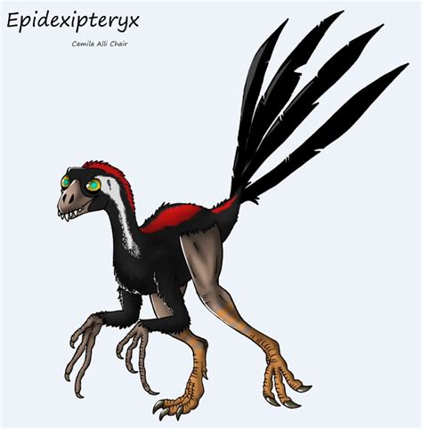 Epidexipteryx Pictures & Facts - The Dinosaur Database