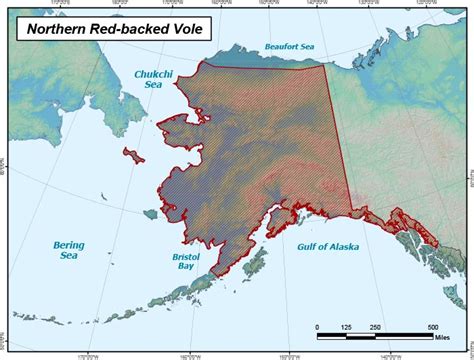 Northern Red-backed Vole Range Map, Alaska Department of Fish and Game