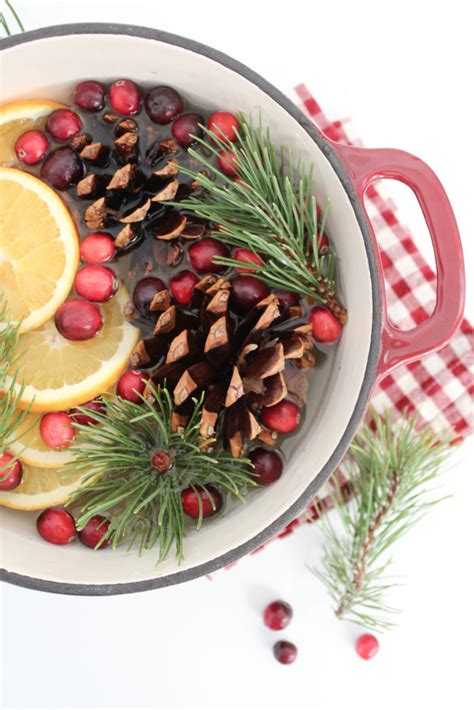 Stove Top Holiday Potpourri - Let's Mingle Blog