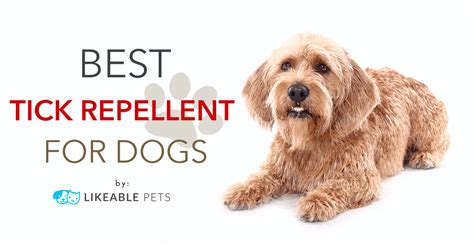 Best Tick Repellent for Dogs