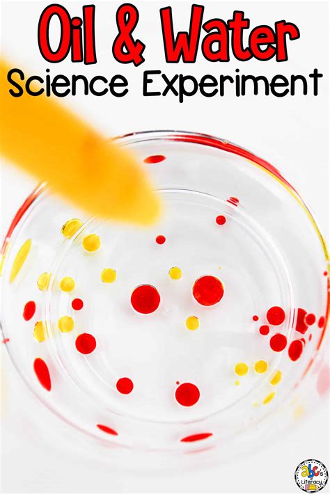 Oil and Water Science Experiment for Kids: Simple Science Experiment