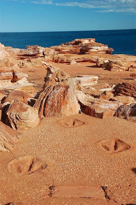 Dinosaur Footprints - Broome WA | From a place you'd rather be | Pinterest | Travel and Blog