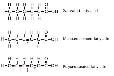 Polyunsaturated Fatty Acids and Health