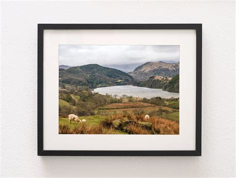 Welsh Farm Landscape Photo Print, Sheep Grazing in Wales, Country Scene ...