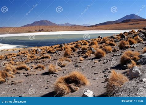 Altiplano landscape stock image. Image of erosion, mountain - 26200617