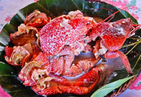 Batanes’ Culinary Celebrity: The Coconut Crab (or Don’t Tell A ...