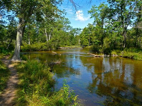 Little Manistee River Scene | Just west (downstream) of the … | Flickr