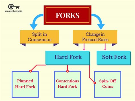 What is a fork, hard fork and soft fork? | Cryptosteps