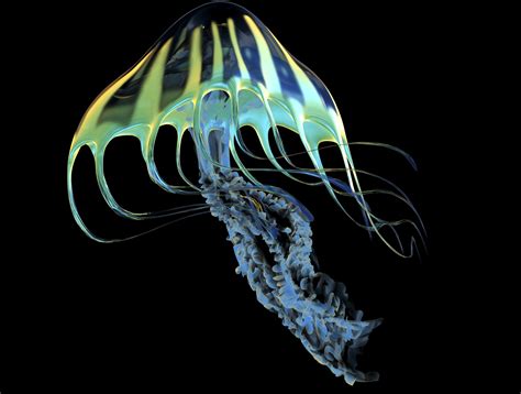 Bioluminescence: The greatest light show of them all | LEDVANCE