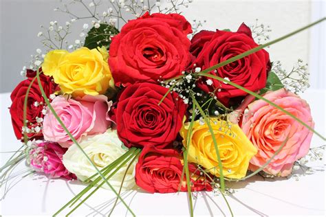 Free Images : petal, love, pink, bouquet of flowers, bouquet of roses, strauss, floristry ...