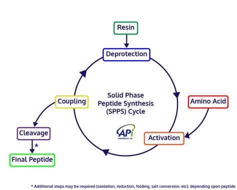 How are Peptides Synthesized? | AmbioPharm