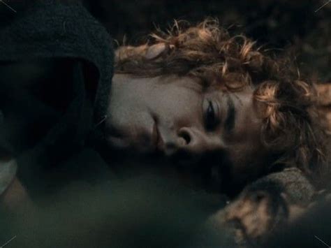 Merry Brandybuck in 2023 | Lotr, Merry and pippin, The two towers