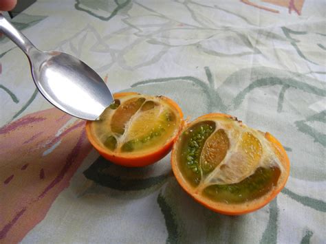 naranjilla-fruit