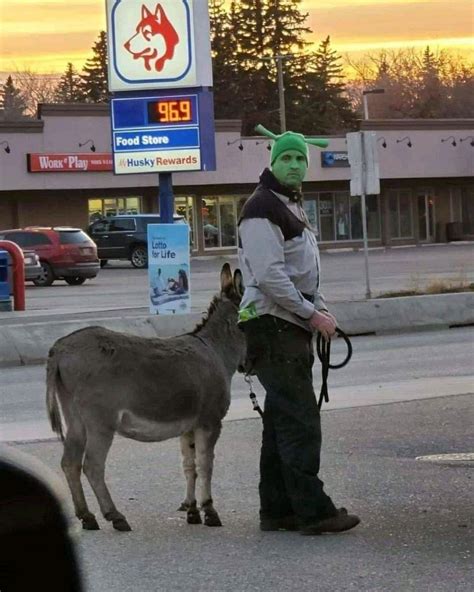 Best Shrek cosplay. : r/pics