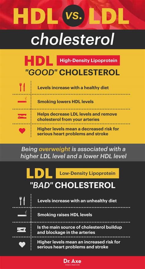 How to Increase 'Good' HDL Cholesterol - Dr. Axe