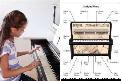 Grand Piano Keys Layout