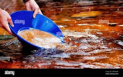 A man gold panning in a Scottish river Stock Photo - Alamy