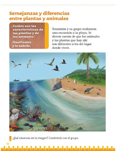 Semejanzas y diferencias entre plantas y animales - Bloque II - Lección 3