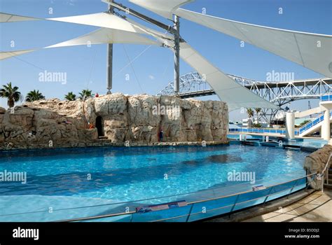 Texas State Aquarium in Corpus Christi, USA Stock Photo - Alamy